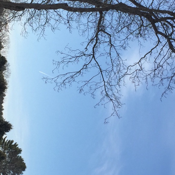 Meet your Posher, William - Picture 1 of 1